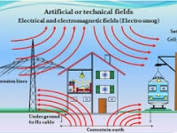 Servicio de medición de campos electromagnéticos